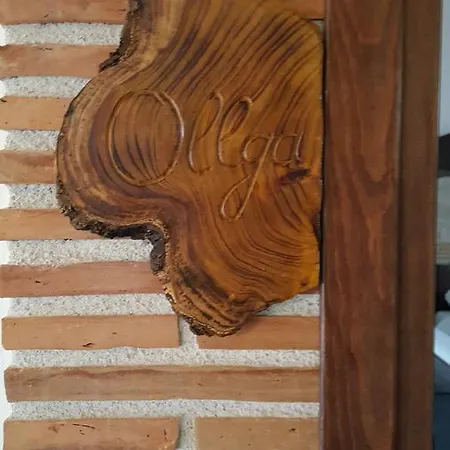 Hotel Bujtina Ollga Tushemisht