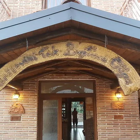 Bujtina Ollga * Tushemisht