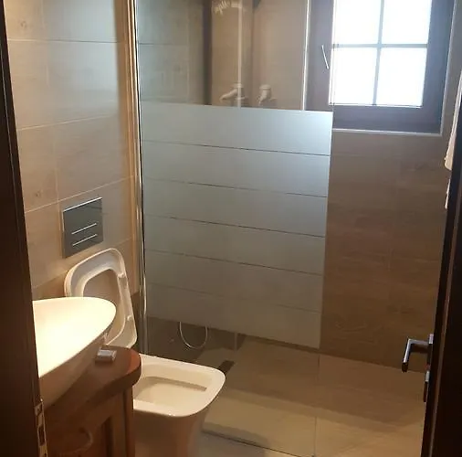 Hotel Bujtina Ollga *