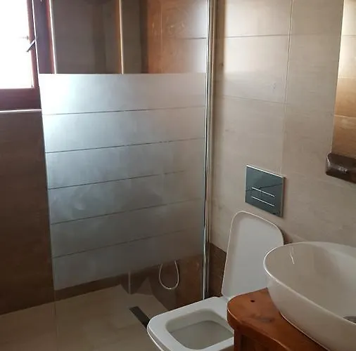Hotel Bujtina Ollga *