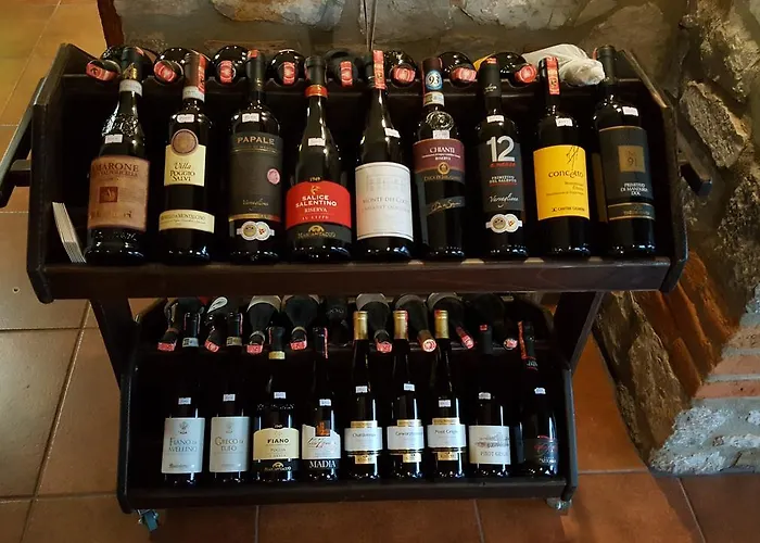 Отель Bujtina Ollga