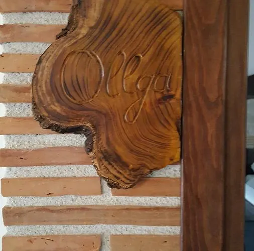 Отель Bujtina Ollga Tushemisht