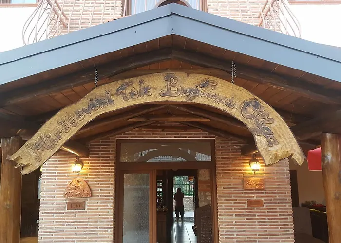 Bujtina Ollga * Tushemisht